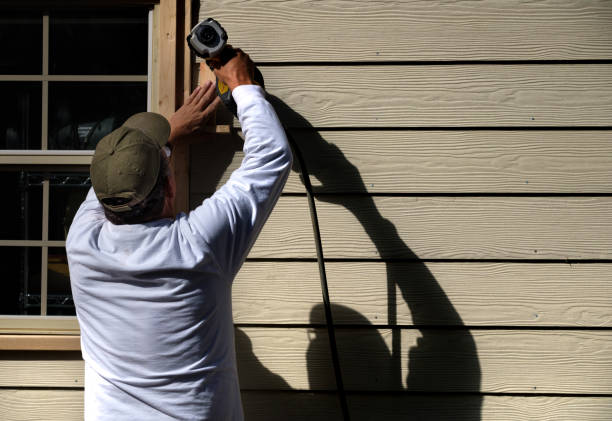 Best Vinyl Siding Installation  in Old Fig Garden, CA